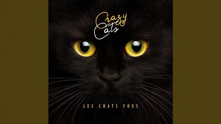 le jardin des merveilles film