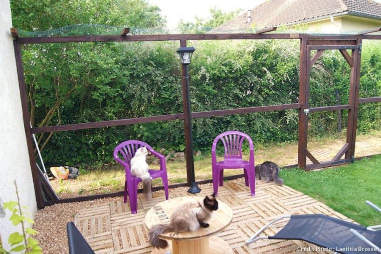 jardin des chats tours