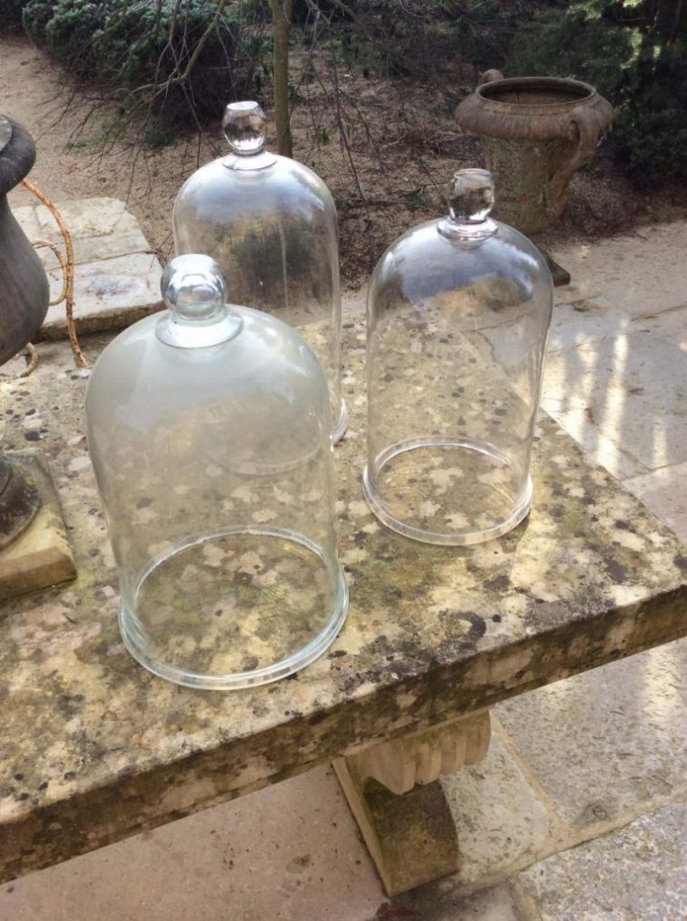 cloche de verre jardin