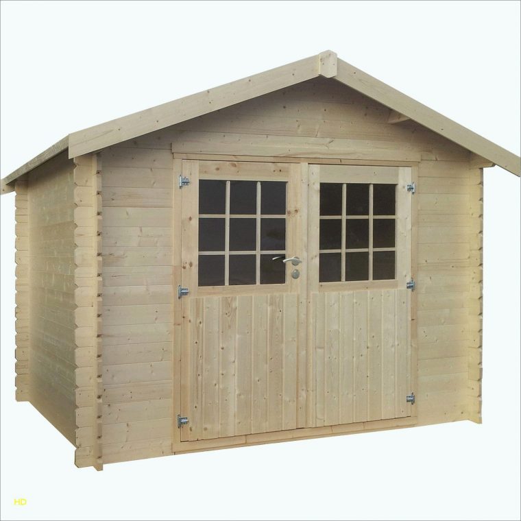 cabane de jardin toit plat