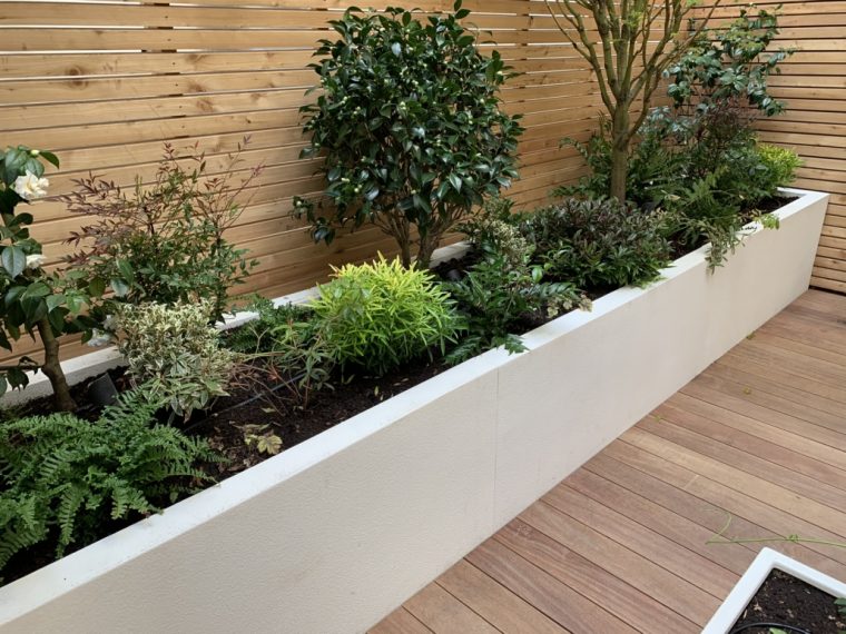 plante exterieur pour jardiniere