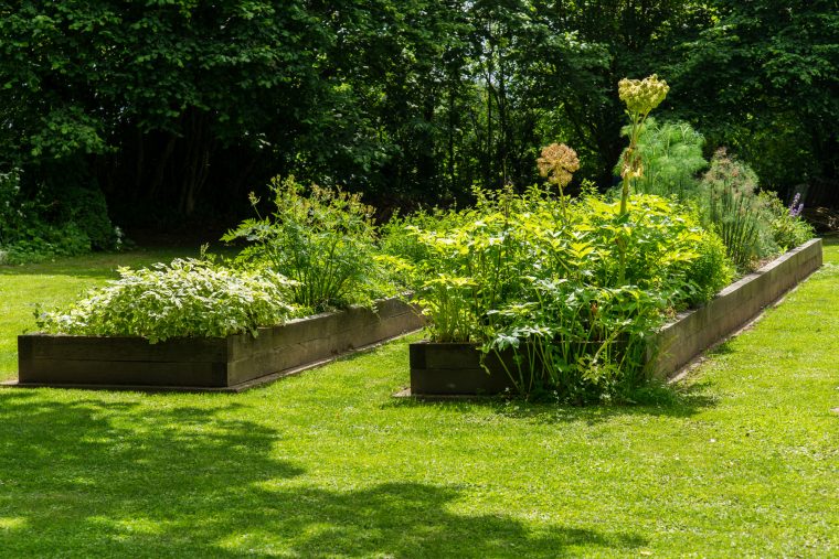 modele de jardin potager