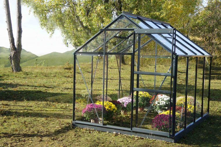 serres en verre de jardin