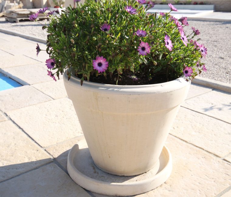 pot de fleur jardin