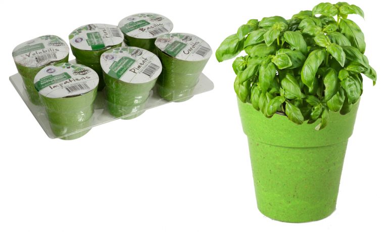 planete plante kit du mini jardinier mode d'emploi