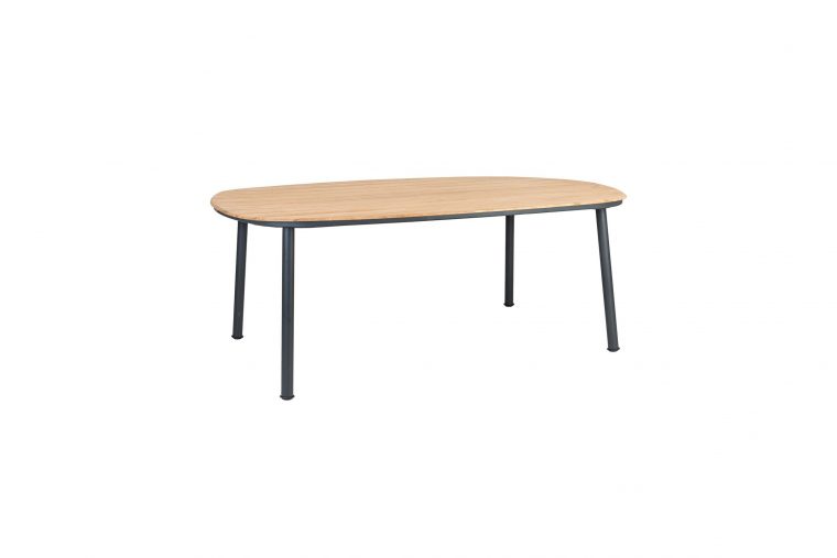 table de jardin 200 cm