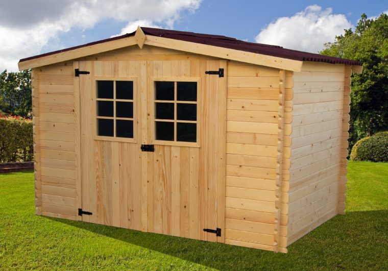 abris de jardin bois 10m2