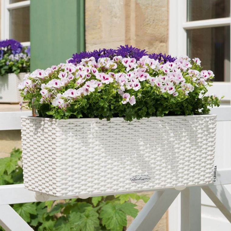 plante pour jardiniere balcon
