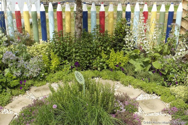 plante brise vue jardin