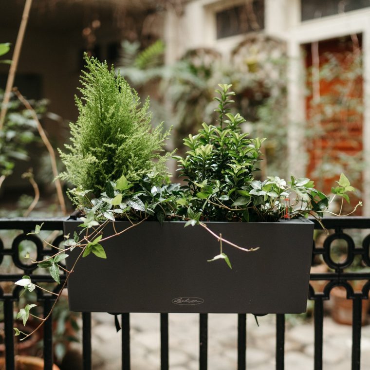 jardiniere avec reservoir d eau