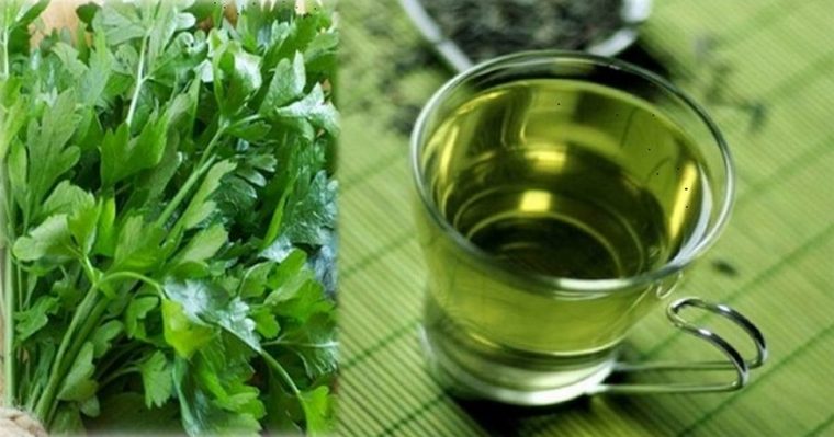 infusion de consoude au jardin