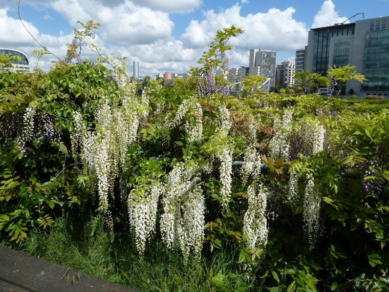 tour des jardins de l'arche