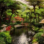 AmÃ©nagement Jardin Japonais Jardin Japonais Et Déco Zen En 15 Idées D Aménagement
