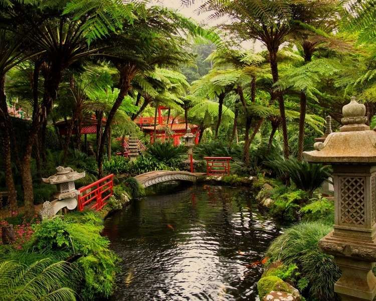 AmÃ©nagement Jardin Japonais Jardin Japonais Et Déco Zen En 15 Idées D Aménagement