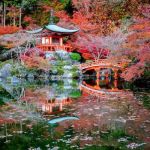 AmÃ©nagement Jardin Japonais Jardins Japonais Idées D Aménagement Conseils Précieux
