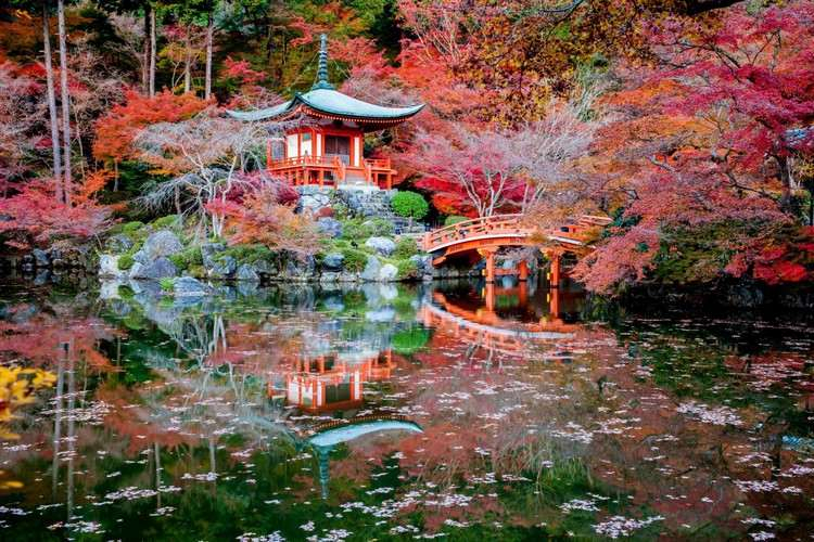 AmÃ©nagement Jardin Japonais Jardins Japonais Idées D Aménagement Conseils Précieux