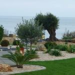 Amenagement Jardin Mediterraneen Ambiance Méditerranéenne Jardins Divers