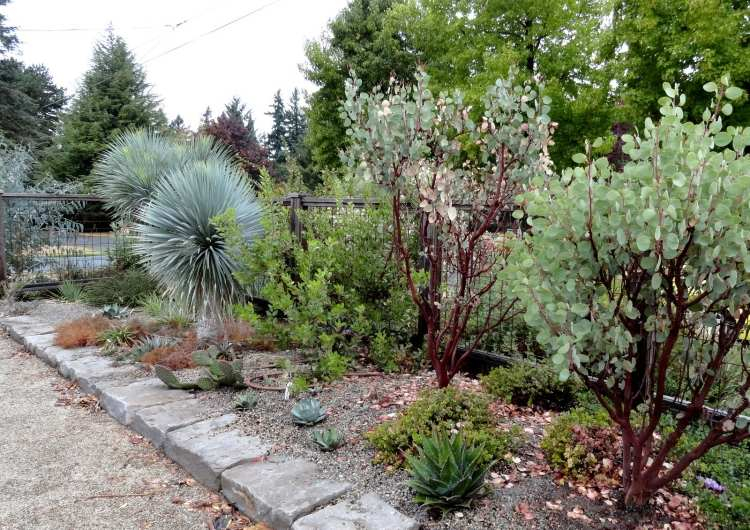 Amenagement Jardin Mediterraneen Mediterrane Gartengestaltung Und Pflanzen 75 Ideen