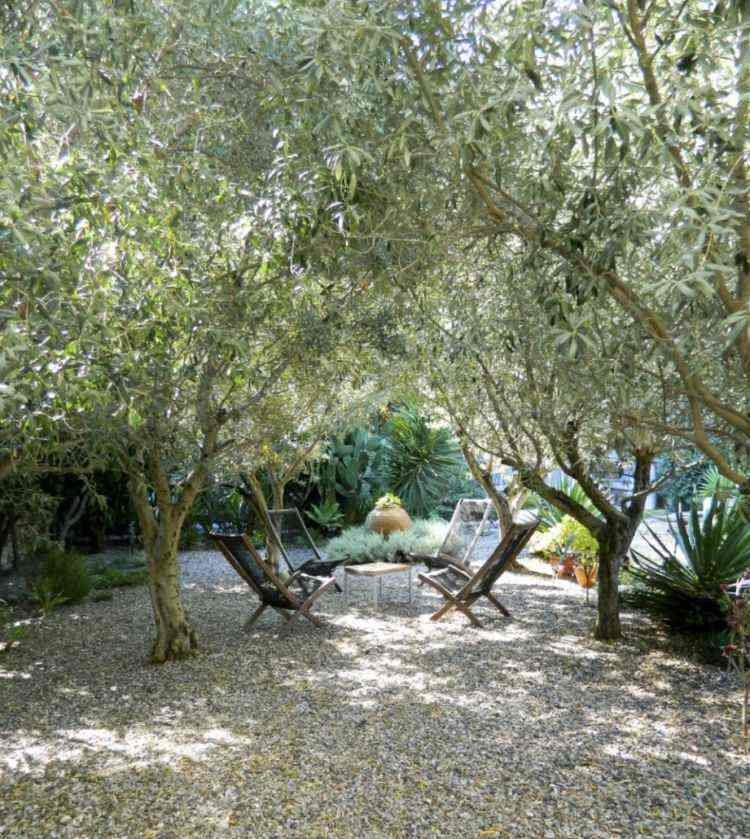 Amenagement Jardin Mediterraneen Plantes Et Aménagement Jardin Méditerranéen – 79 Idées