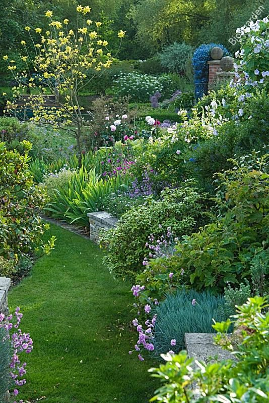 Amenagement Jardin Pente Jardin En Pente Bios Carol Drake Gap
