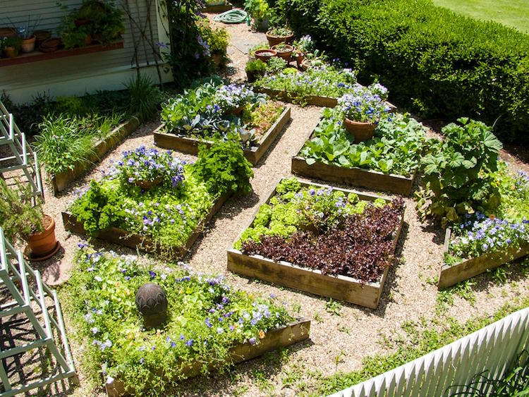 Amenagement Jardin Potager Aménagement Petit Jardin – Des Conseils astucieux Pour Le