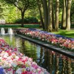 Aménagement Parc Et Jardin 1001 Conseils Et Modèles Pour Créer Une Parterre De Fleurs