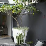 Amenagement Petit Jardin Avec Terrasse 60 Photos Ment Bien Aménager Sa Terrasse