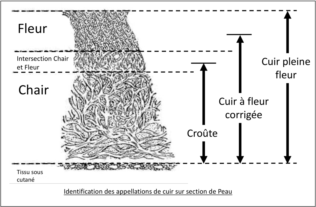 Canapé Cuir Pleine Fleur Cuir Pleine Fleur — Wikipédia