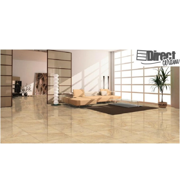 Carrelage Interieur Pas Cher Carrelage Imitation Marbre Pas Cher Carrelage De sol 60x60