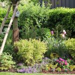 Comment AmÃ©nager Un Jardin Aménager son Jardin Bud Et Conseils