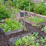 Comment AmÃ©nager Un Jardin Ment Faire Un Jardin Potager En Permaculture Marie