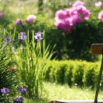 Comment AmÃ©nager Un Petit Jardin Aménagement Jardin Ment Aménager Un tout Petit Jardin