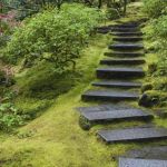 Comment Faire Un Jardin Japonais Un Jardin Japonais à Porter De Main Chez Vous