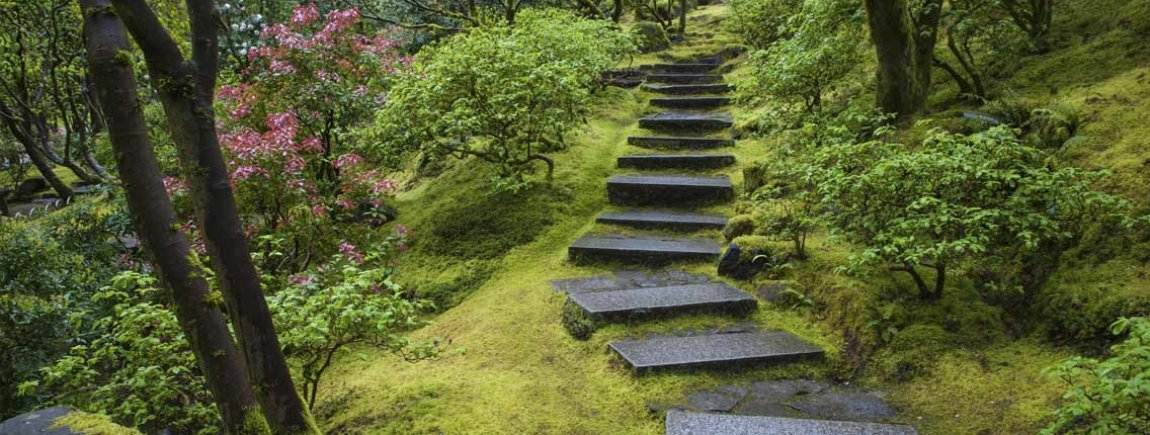 Comment Faire Un Jardin Japonais Un Jardin Japonais à Porter De Main Chez Vous