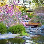 Comment Faire Un Petit Jardin Créer Un Jardin Japonais