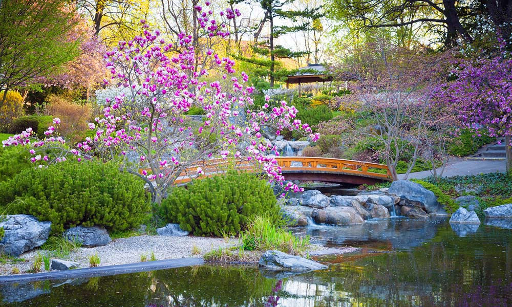 Comment Faire Un Petit Jardin Créer Un Jardin Japonais