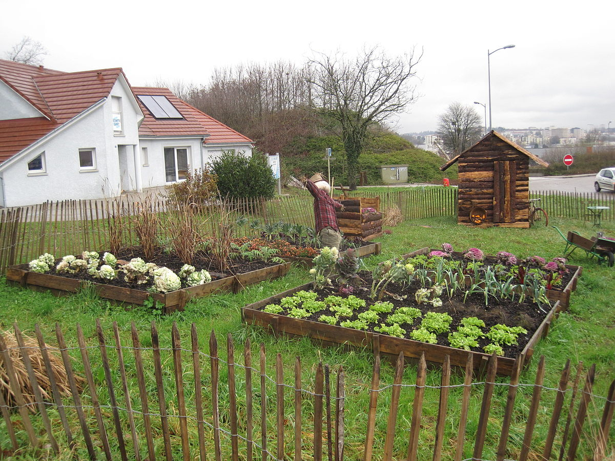 Comment Faire Un Petit Jardin Jardin Potager — Wikipédia