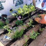 Comment Faire Un Petit Jardin Pas à Pas Ment Se Créer Un Mur Végétal Elle