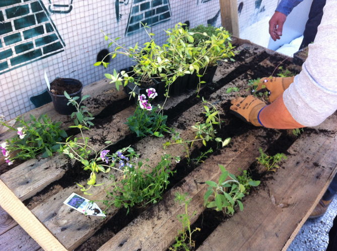 Comment Faire Un Petit Jardin Pas à Pas Ment Se Créer Un Mur Végétal Elle