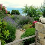 Conception De Jardins Conception De Jardins Sur Mesure Aubagne Et Corse Du Sud