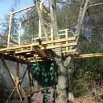 Construire Une Cabane De Jardin Rahmabaman Une Cabane Dans L’arbre