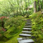 CrÃ©er Un Jardin Paysager Créer Un Escalier Au Jardin Matériau Hauteur Et
