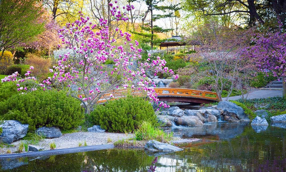 CrÃ©er Un Jardin Paysager Créer Un Jardin Japonais Travaux D Extérieur