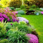 CrÃ©er Un Jardin Paysager Superb Idee D Allee De Jardin 8 1001 Conseils Et