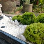 CrÃ©er Un Jardin Zen 1001 Conseils Pratiques Pour Une Déco De Jardin Zen