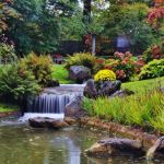 CrÃ©er Un Jardin Zen Créer Un Jardin Japonais Création D Un Jardin Zen