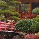Creation Jardin Japonais Amenager Un Jardin Japonais Jardin Zen