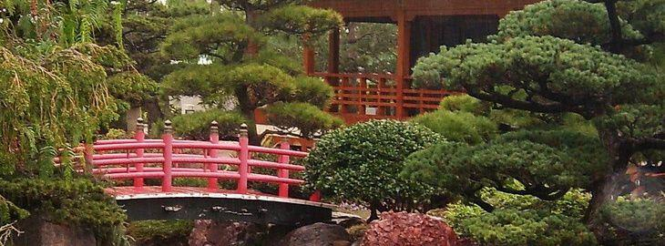 Creation Jardin Japonais Amenager Un Jardin Japonais Jardin Zen