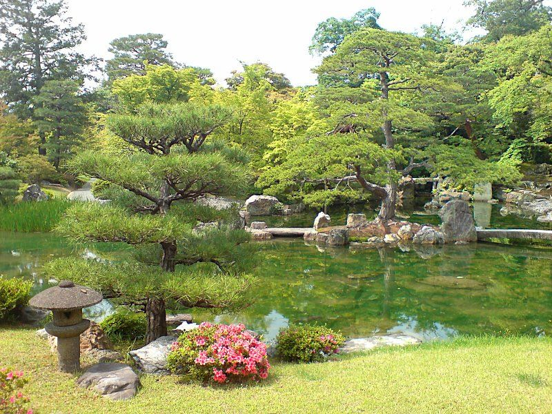 Creation Jardin Japonais Jardin Japonais
