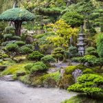Creer Un Jardin Ment Créer Un Jardin Japonais Le Blog De Jardinet